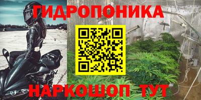 винт Ливны