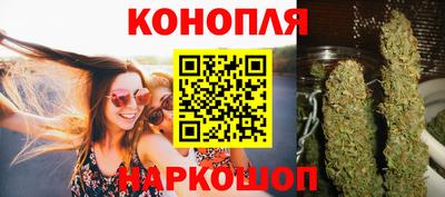 индика Лесосибирск