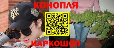 индика Лесосибирск