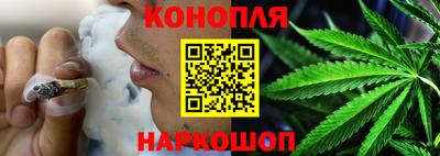 индика Лесосибирск