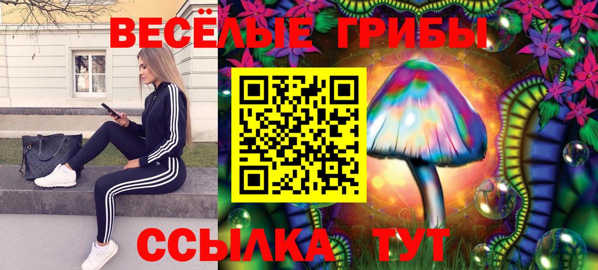 Дзержинск  сколько стоит  Псилоцибиновые грибы прущие грибы  Вход с VPN  Галлюциногенные грибы Psilocybine cubensis 